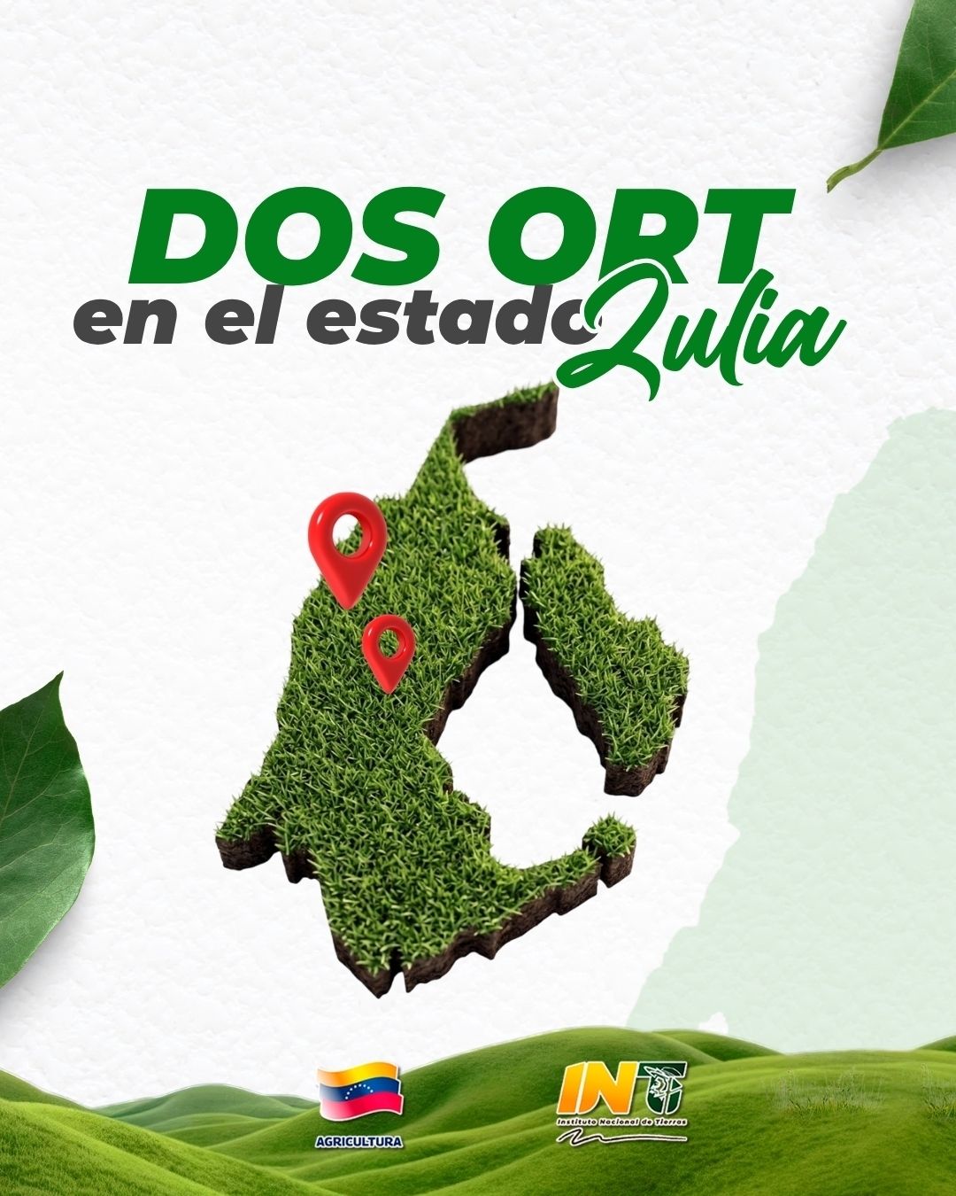 Oficinas Regionales de Tierras del INTi garantizan atención directa a productores en todo el estado Zulia