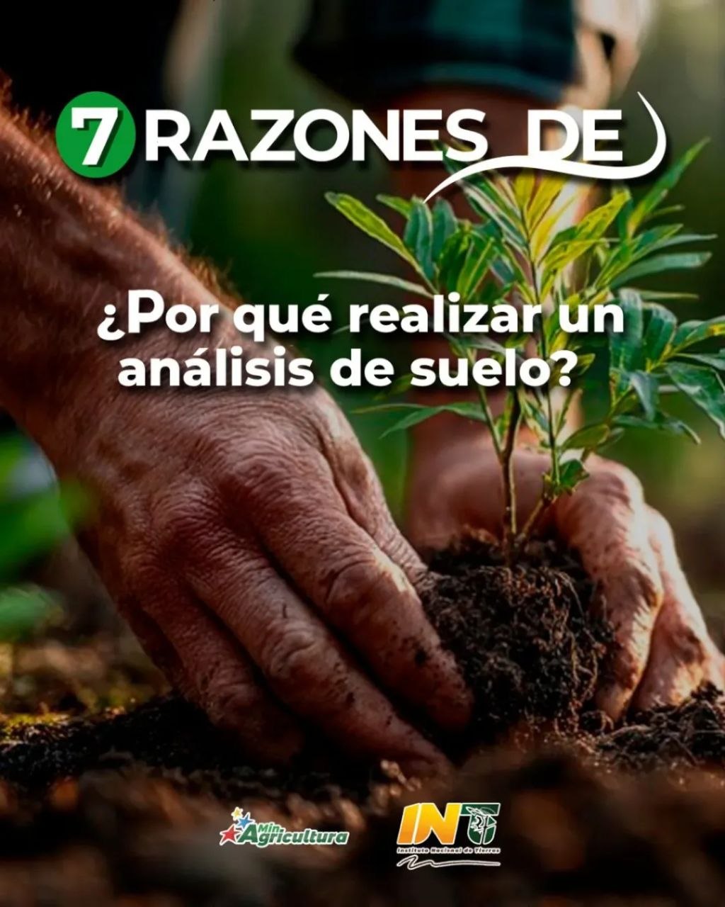 El INTi impulsa la productividad agrícola nacional a través del Laboratorio LANSAR