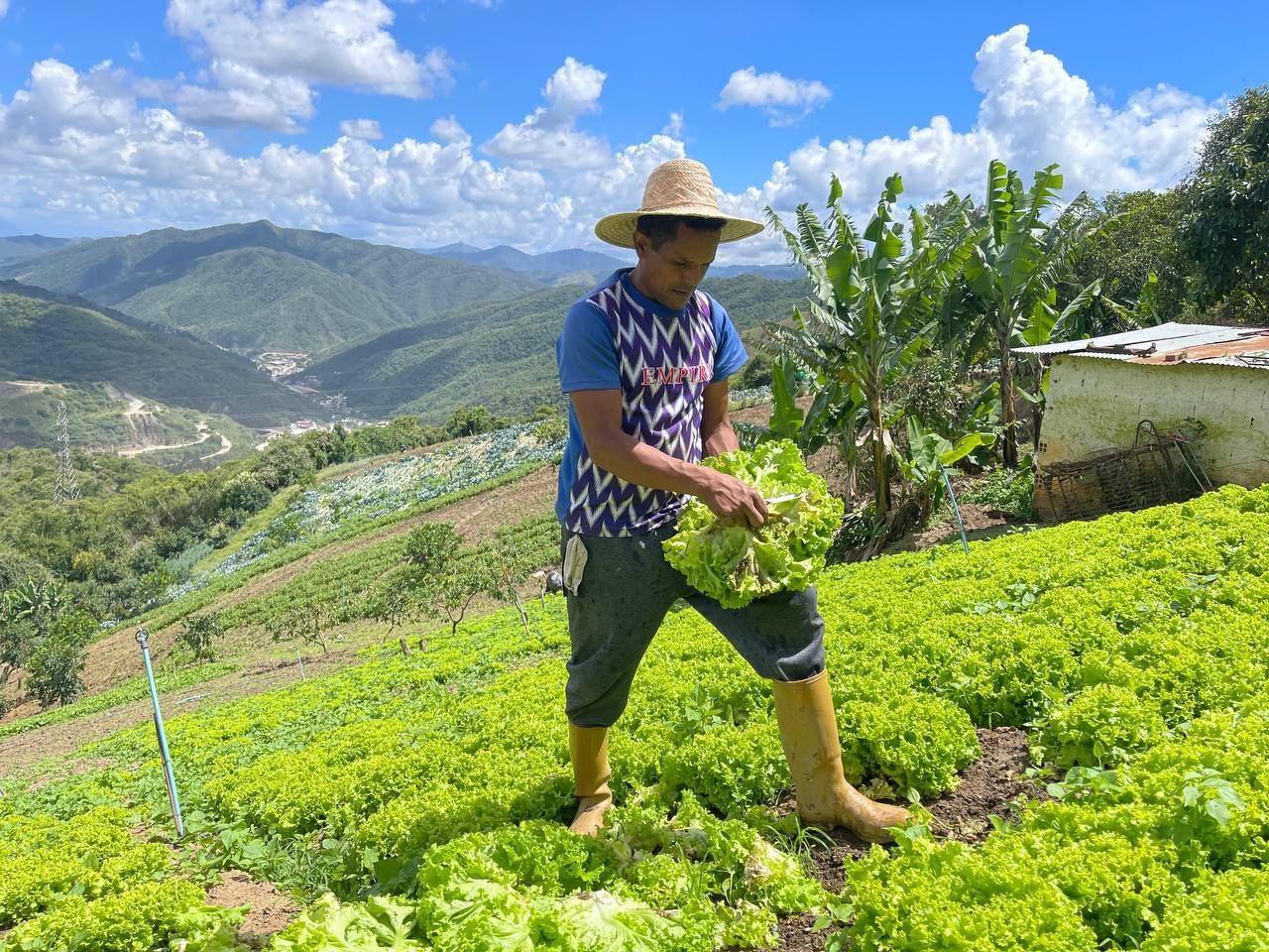 El INTI impulsó la agricultura regenerativa para rescatar los suelos nacionales